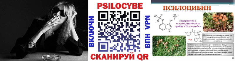 Галлюциногенные грибы Psilocybe Купить закладки Лосино-Петровский
