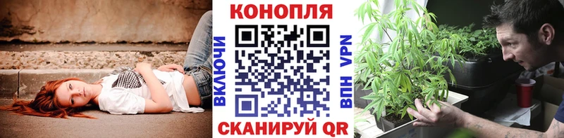 Шишки марихуана семена  Купить где  Лосино-Петровский 
